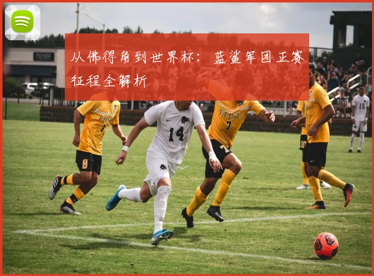 从佛得角到世界杯：蓝鲨军团正赛征程全解析