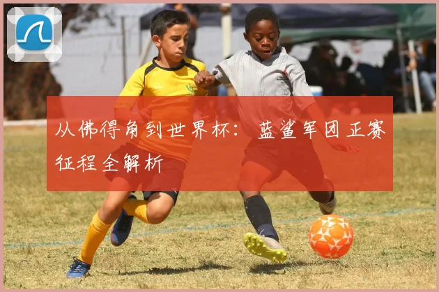 从佛得角到世界杯：蓝鲨军团正赛征程全解析